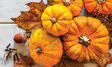 thanksgiving-fun-facts