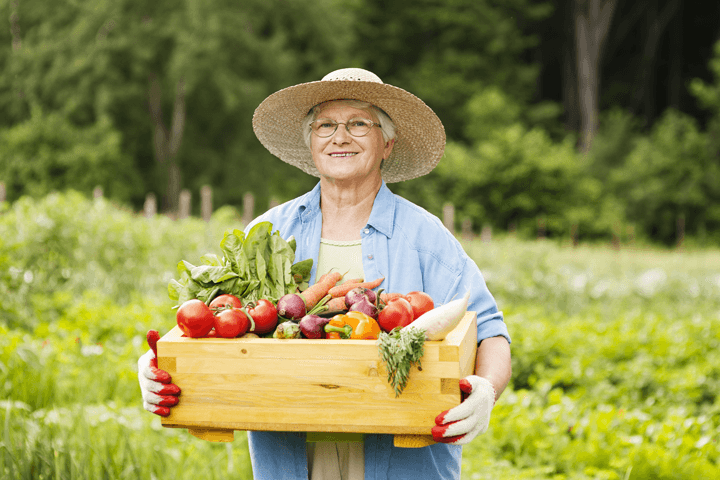 New Hope For Macular Degeneration
