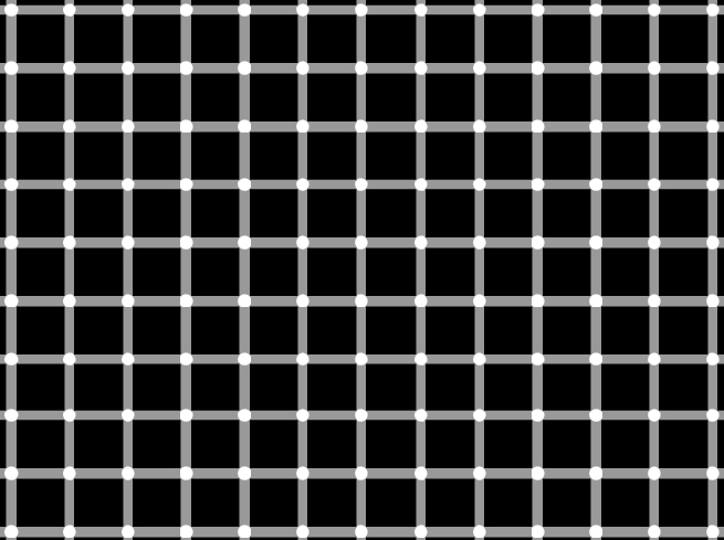 The Art of Optical Illusions